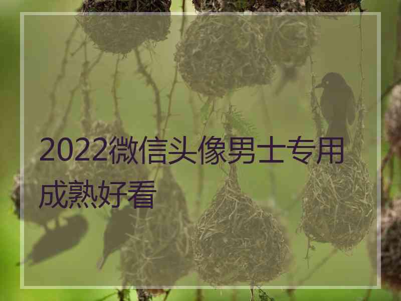 2022微信头像男士专用成熟好看