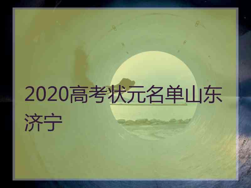 2020高考状元名单山东济宁