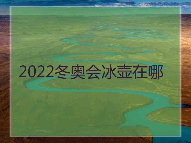 2022冬奥会冰壶在哪