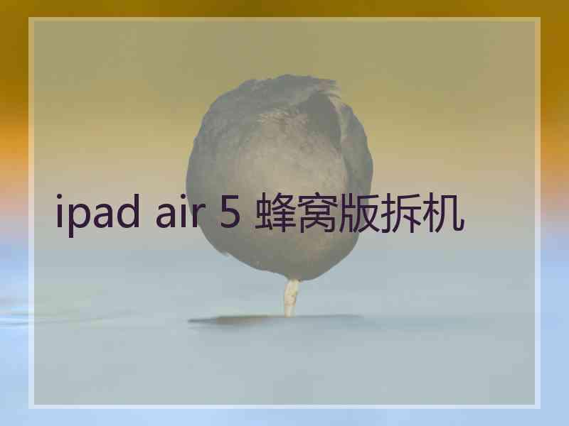 ipad air 5 蜂窝版拆机