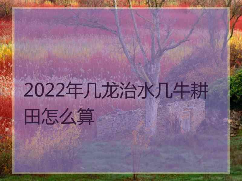 2022年几龙治水几牛耕田怎么算