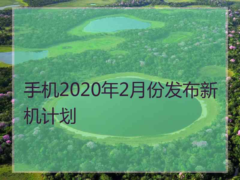 手机2020年2月份发布新机计划