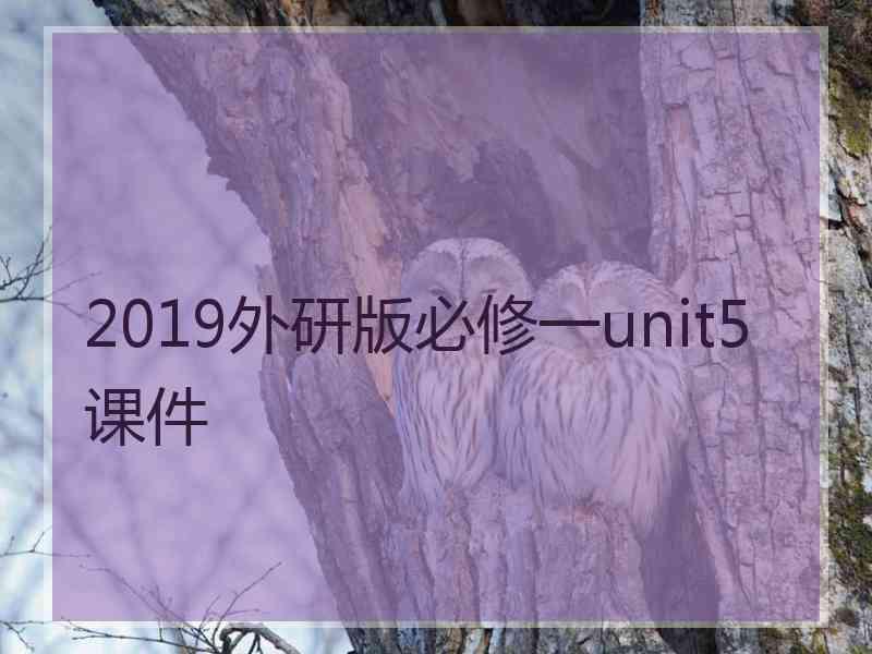 2019外研版必修一unit5课件