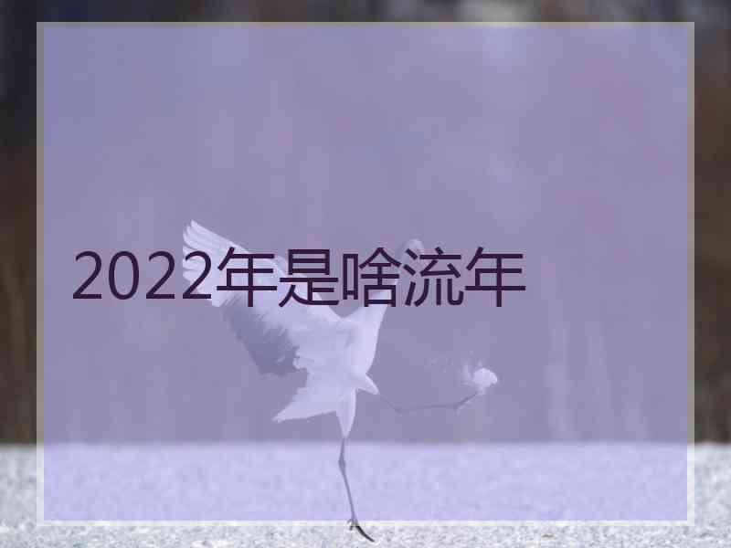 2022年是啥流年