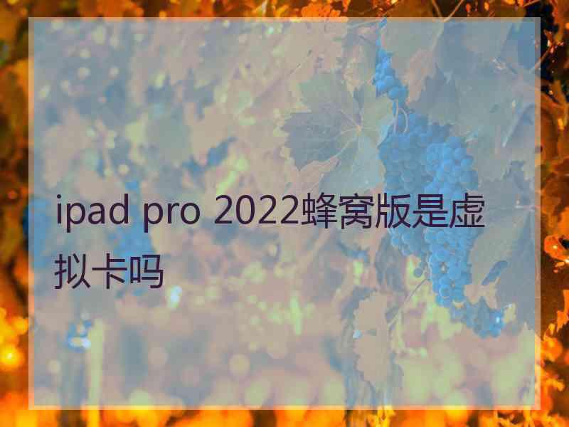 ipad pro 2022蜂窝版是虚拟卡吗