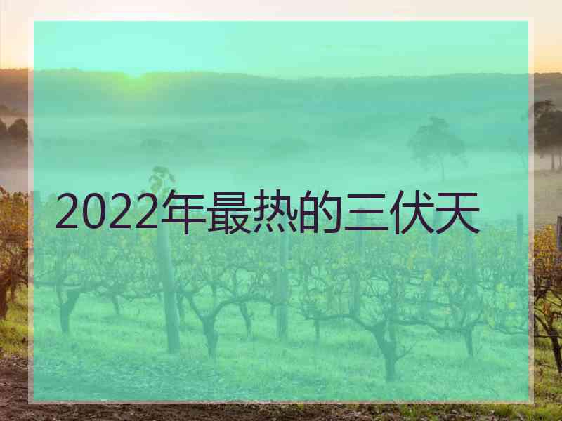 2022年最热的三伏天