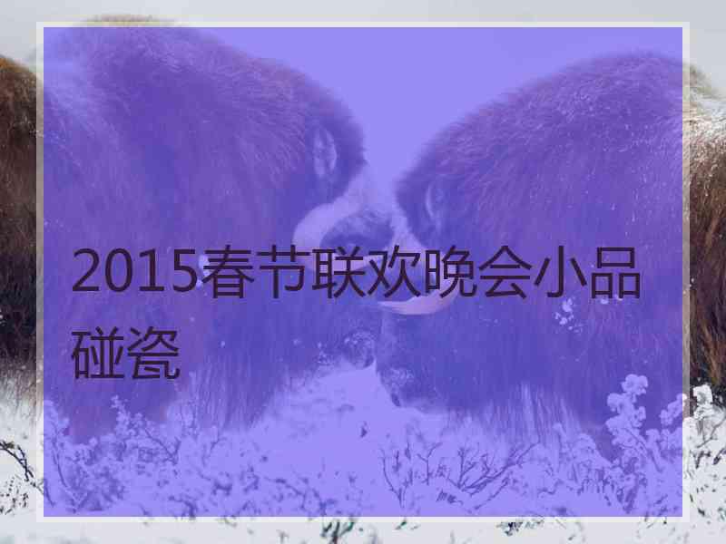 2015春节联欢晚会小品碰瓷