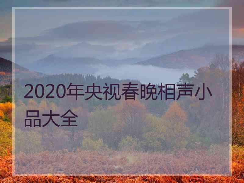 2020年央视春晚相声小品大全