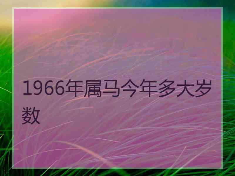 1966年属马今年多大岁数