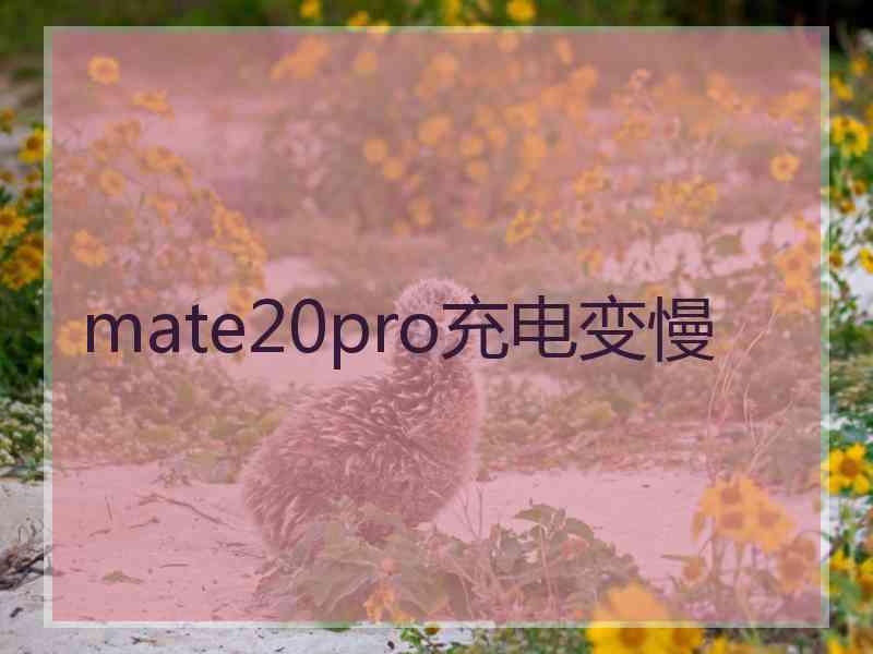 mate20pro充电变慢