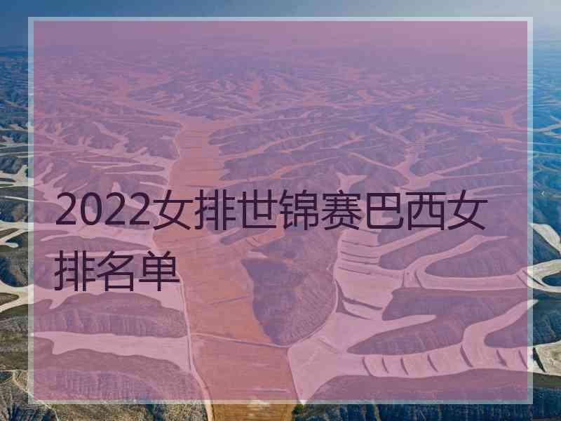 2022女排世锦赛巴西女排名单