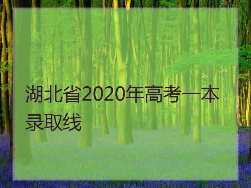 湖北省2020年高考一本录取线