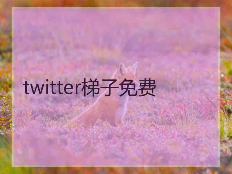 twitter梯子免费