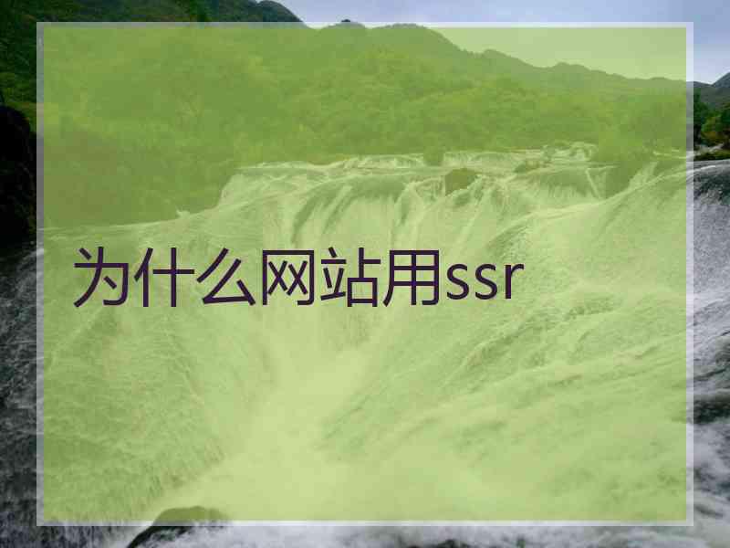 为什么网站用ssr