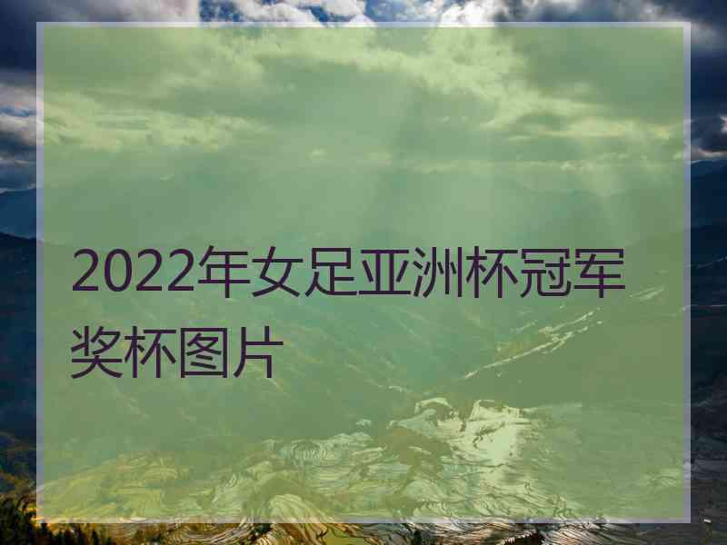 2022年女足亚洲杯冠军奖杯图片