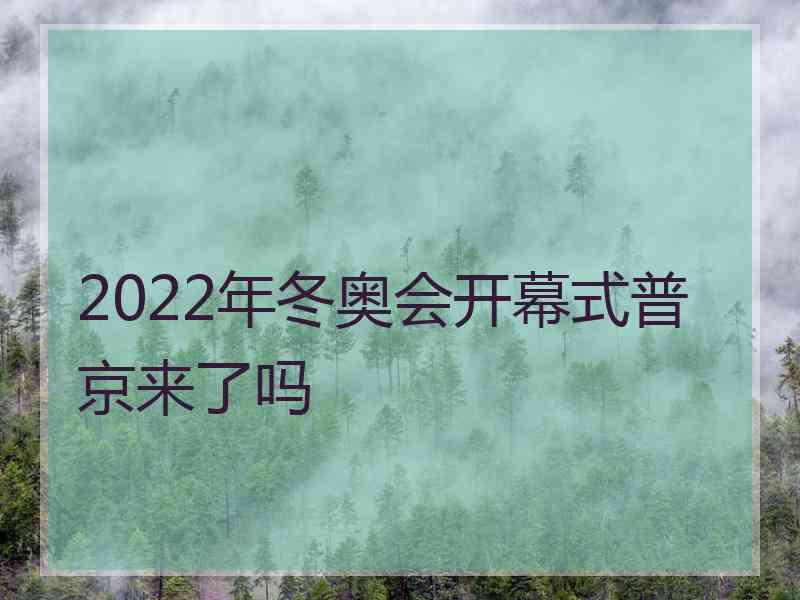 2022年冬奥会开幕式普京来了吗