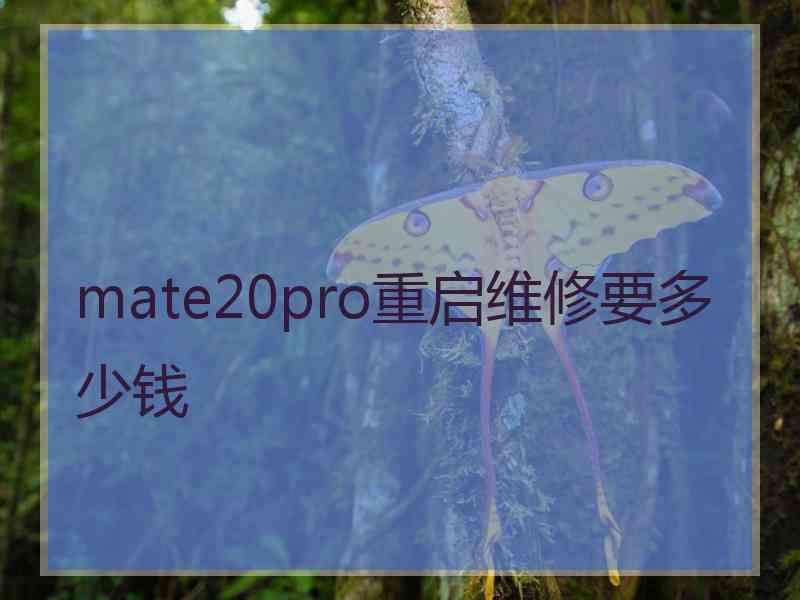 mate20pro重启维修要多少钱