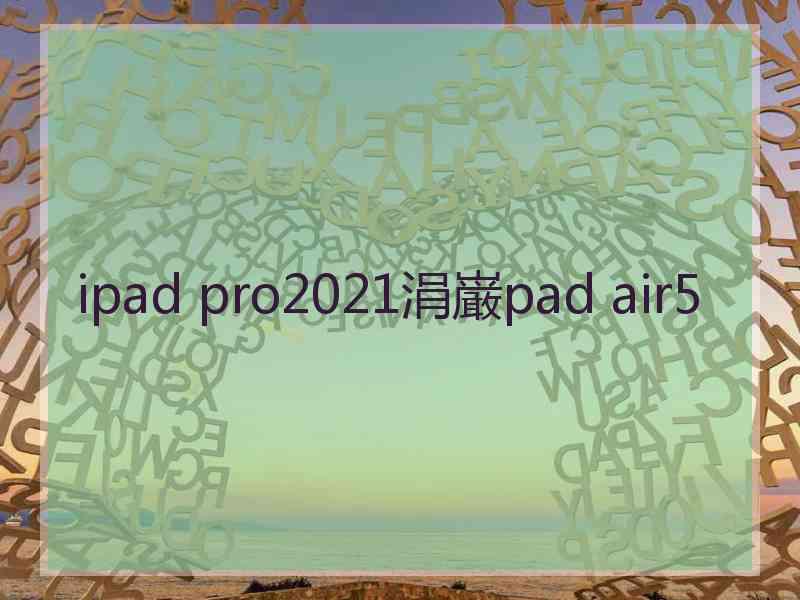 ipad pro2021涓巌pad air5