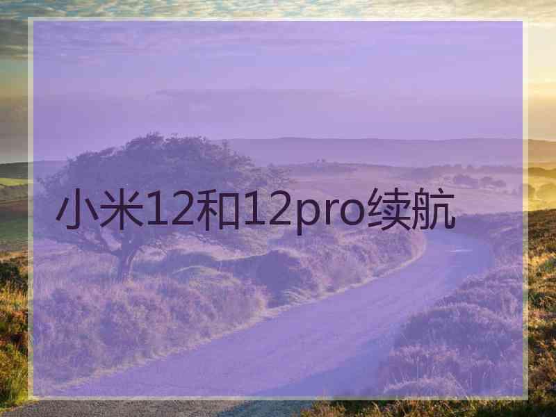 小米12和12pro续航