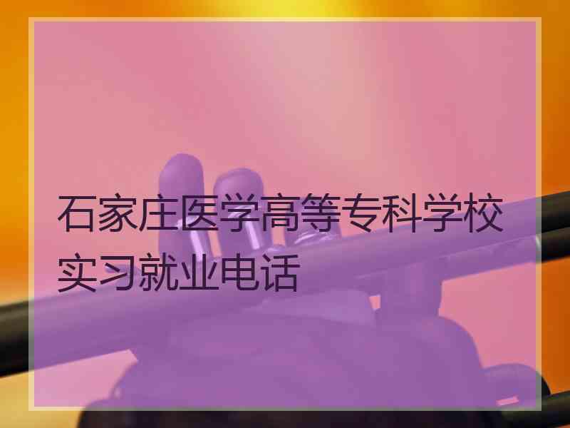 石家庄医学高等专科学校实习就业电话