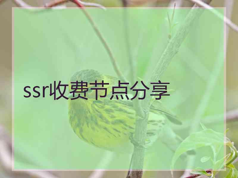 ssr收费节点分享