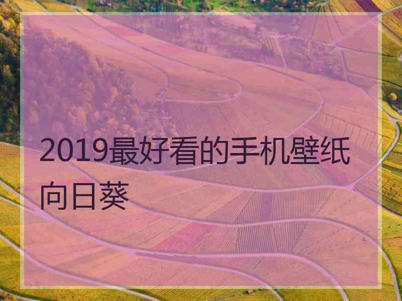 2019最好看的手机壁纸向日葵