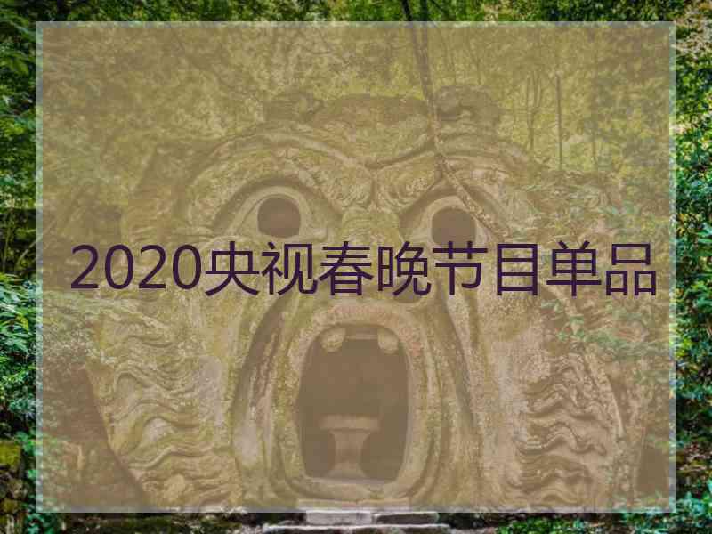 2020央视春晚节目单品