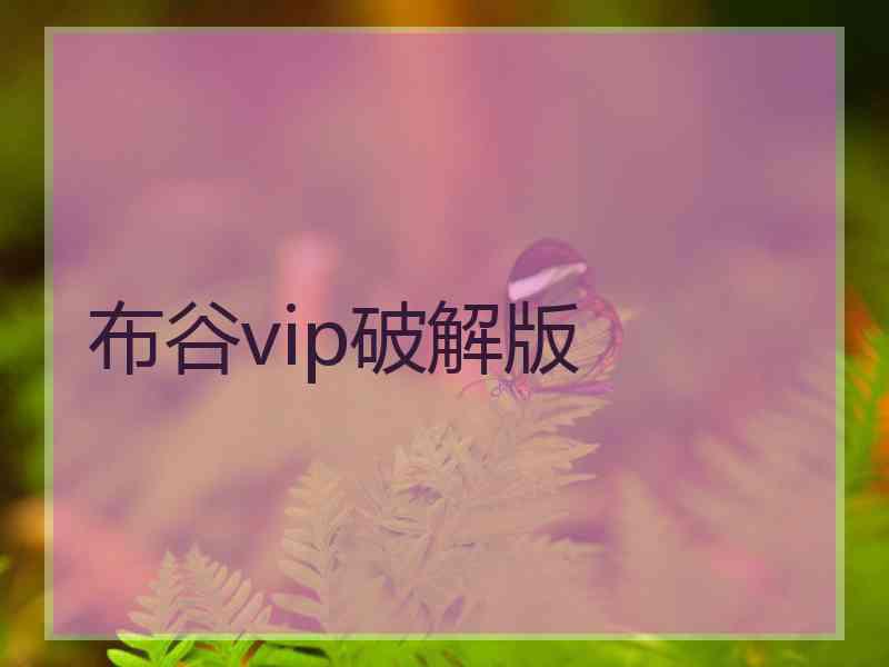 布谷vip破解版