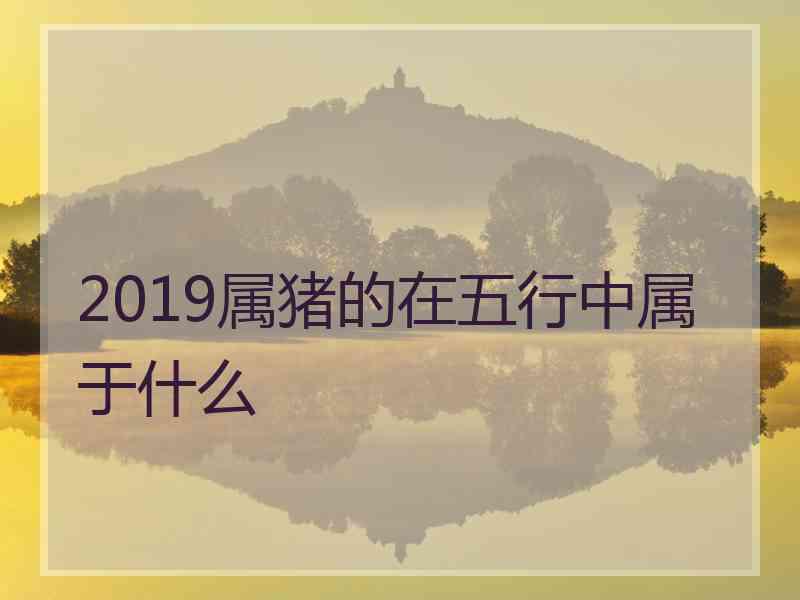 2019属猪的在五行中属于什么