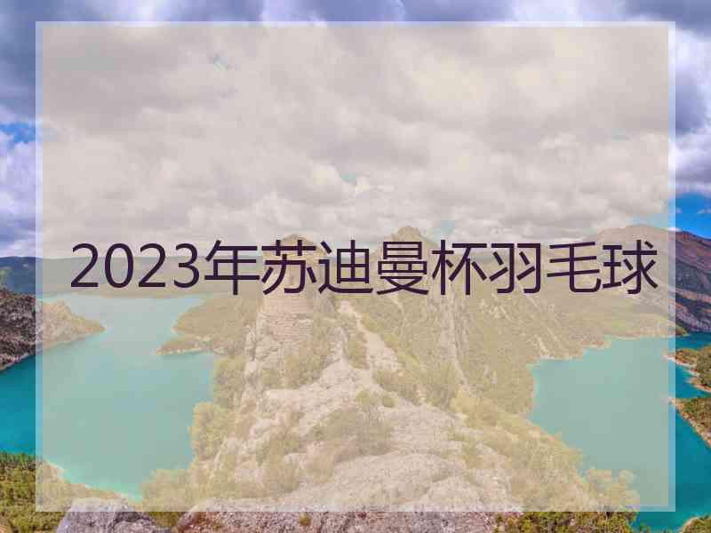 2023年苏迪曼杯羽毛球