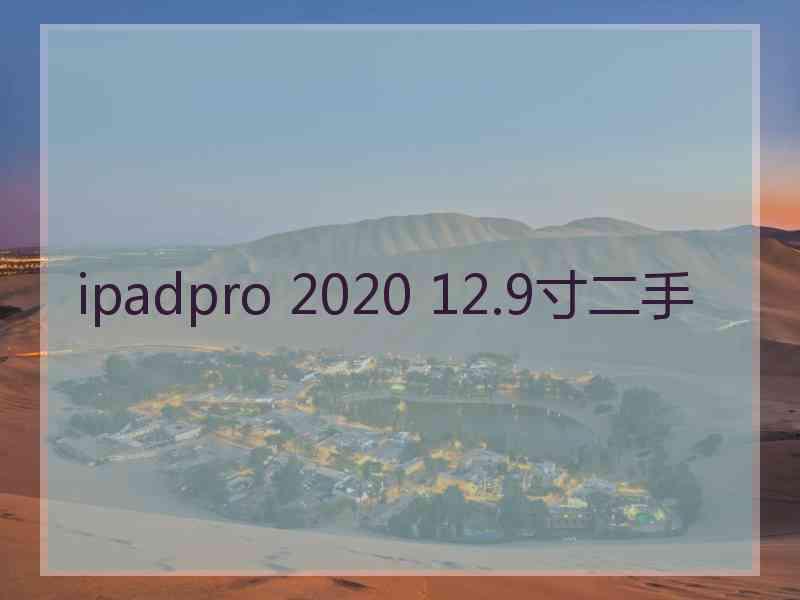 ipadpro 2020 12.9寸二手