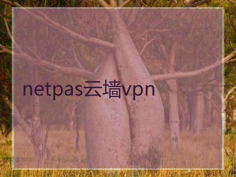 netpas云墙vpn