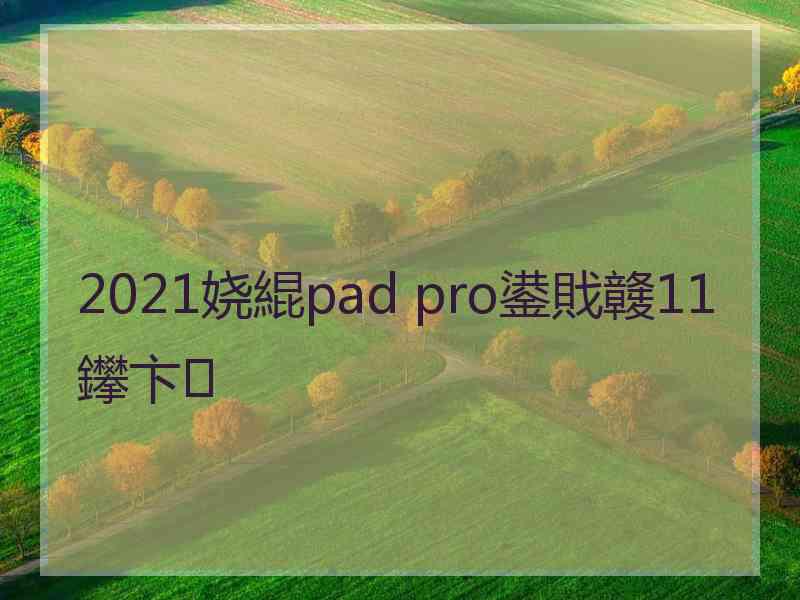 2021娆緄pad pro鍙戝竷11鑻卞