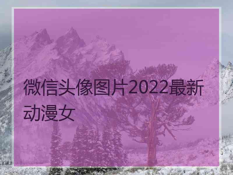 微信头像图片2022最新动漫女