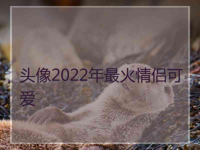 头像2022年最火情侣可爱