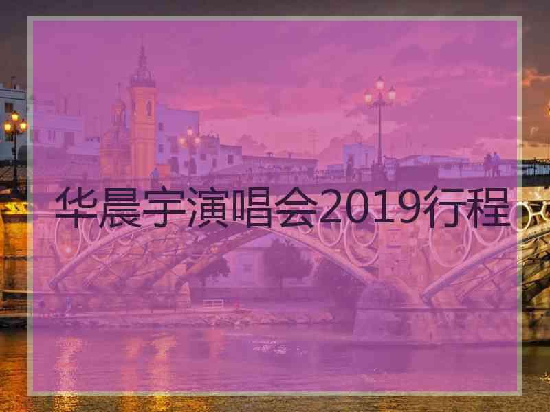 华晨宇演唱会2019行程