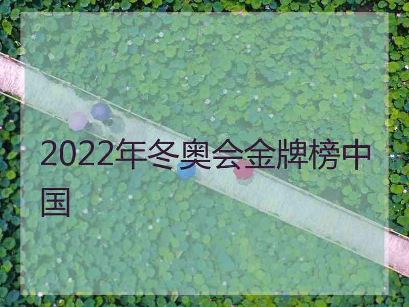 2022年冬奥会金牌榜中国