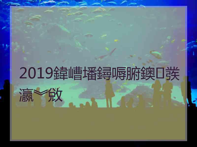 2019鍏嶆墦鐞嗕腑鐭彂瀛︾敓