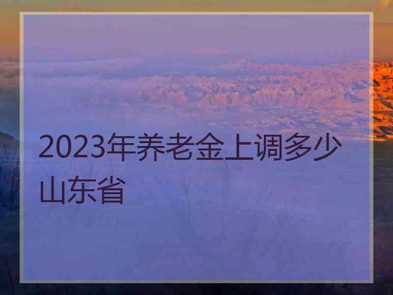 2023年养老金上调多少山东省