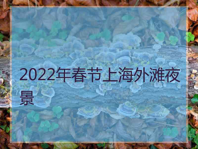 2022年春节上海外滩夜景