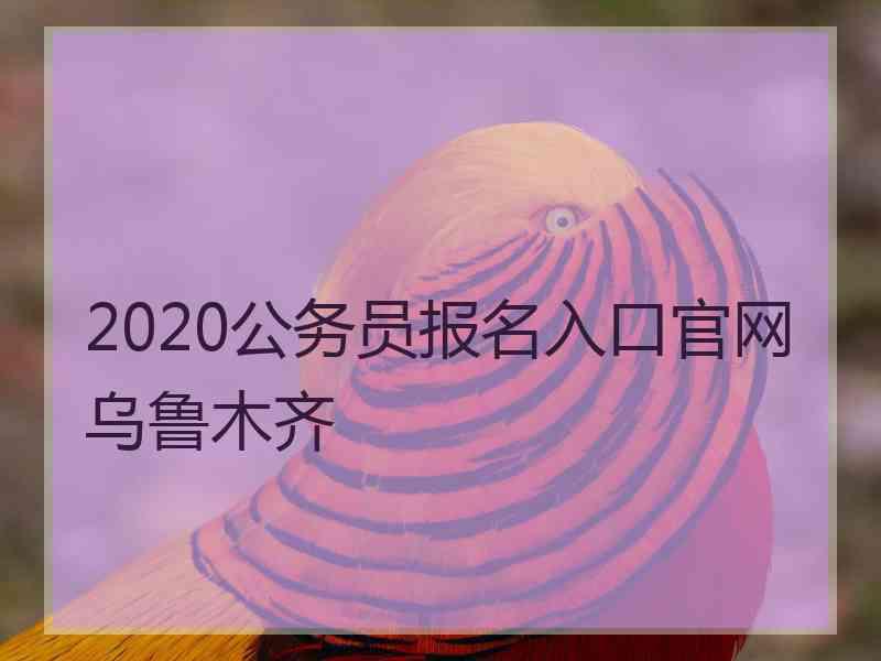 2020公务员报名入口官网乌鲁木齐