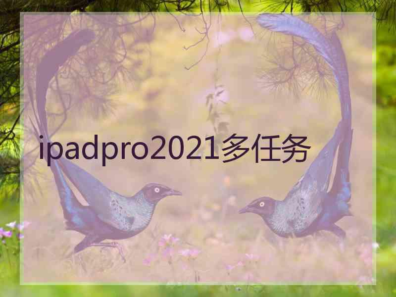 ipadpro2021多任务