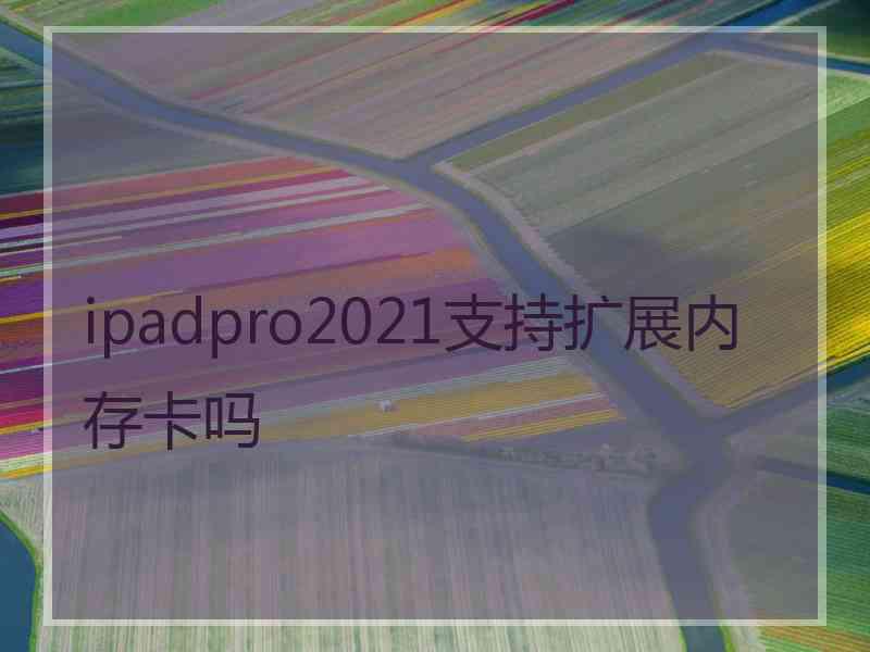 ipadpro2021支持扩展内存卡吗