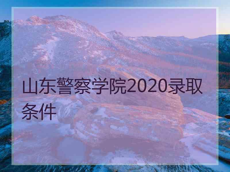 山东警察学院2020录取条件