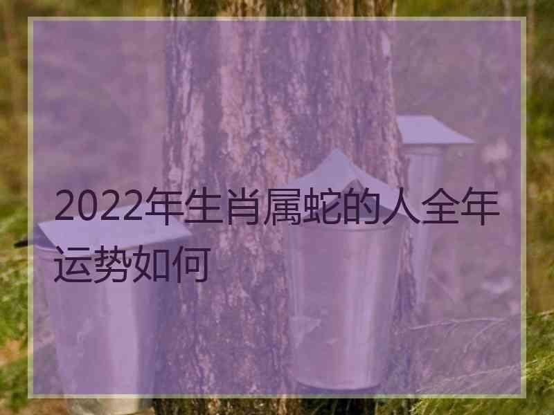 2022年生肖属蛇的人全年运势如何