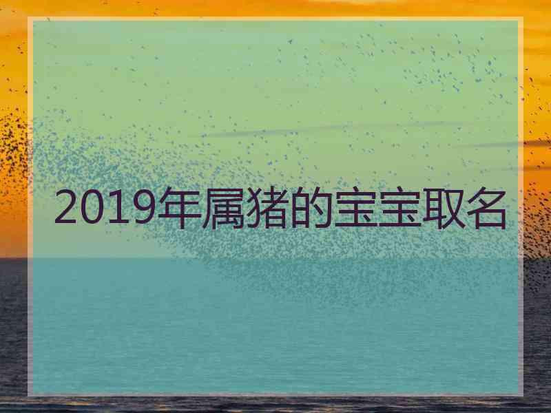 2019年属猪的宝宝取名