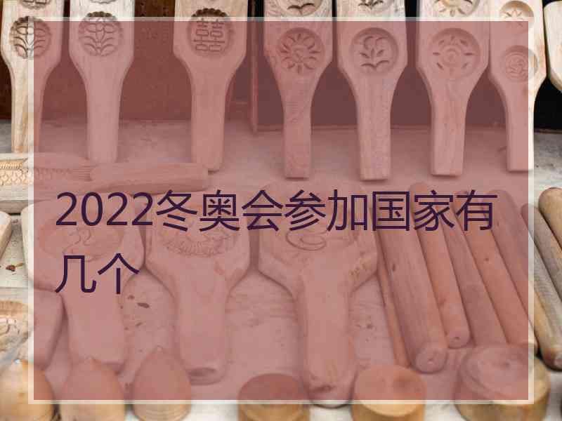 2022冬奥会参加国家有几个