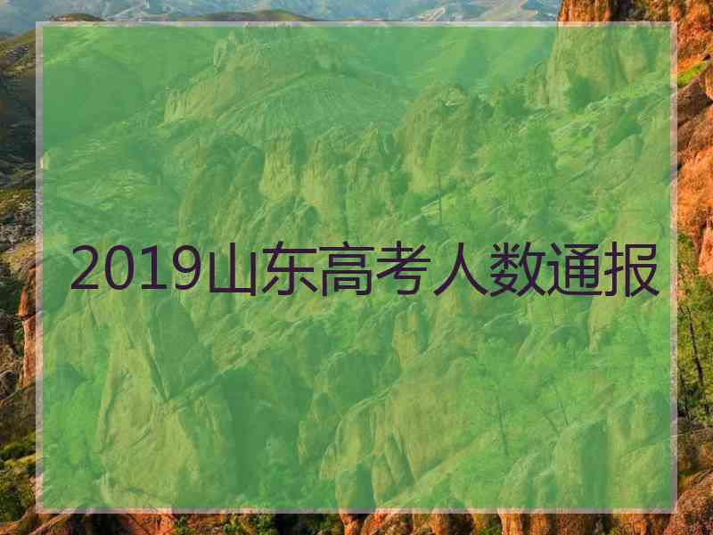 2019山东高考人数通报