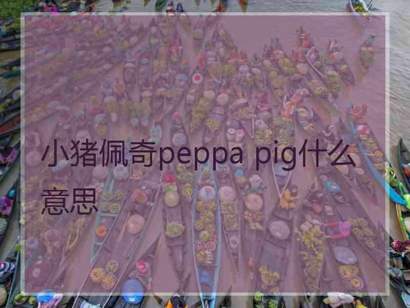 小猪佩奇peppa pig什么意思