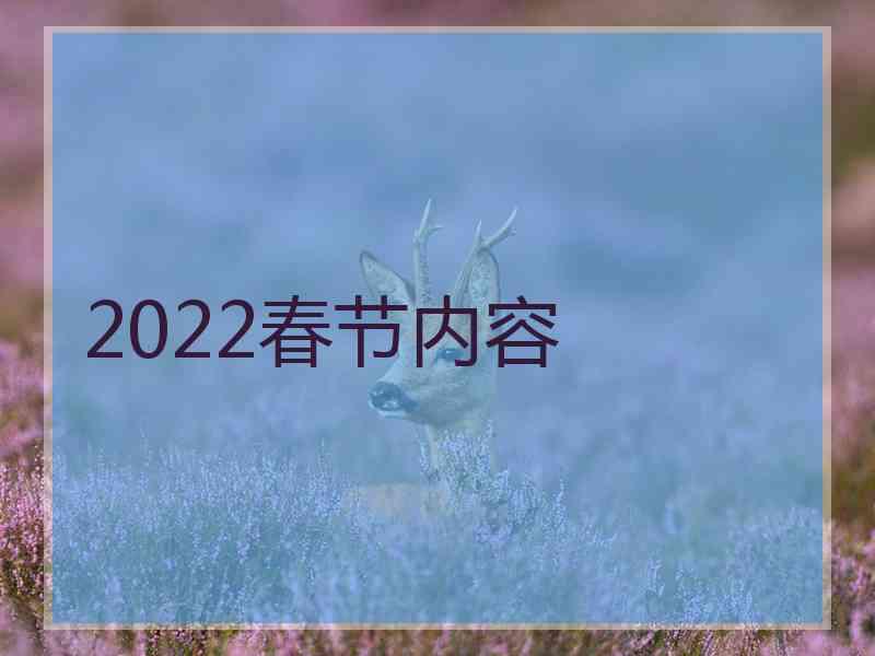 2022春节内容